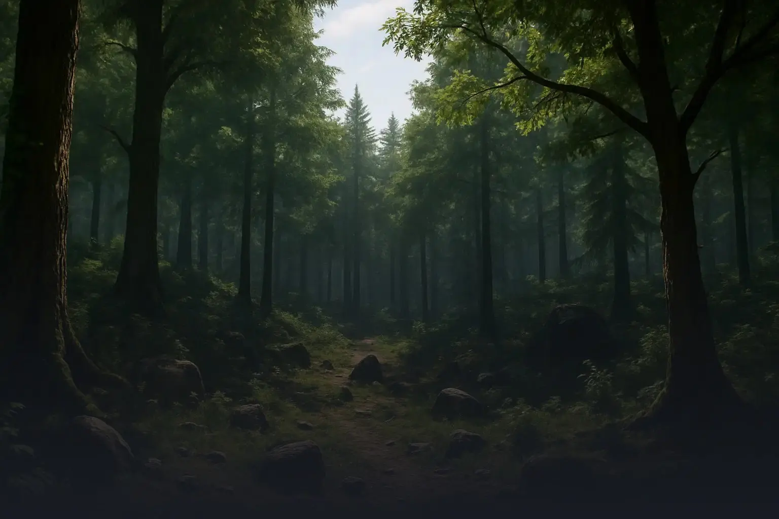 The Forest Background